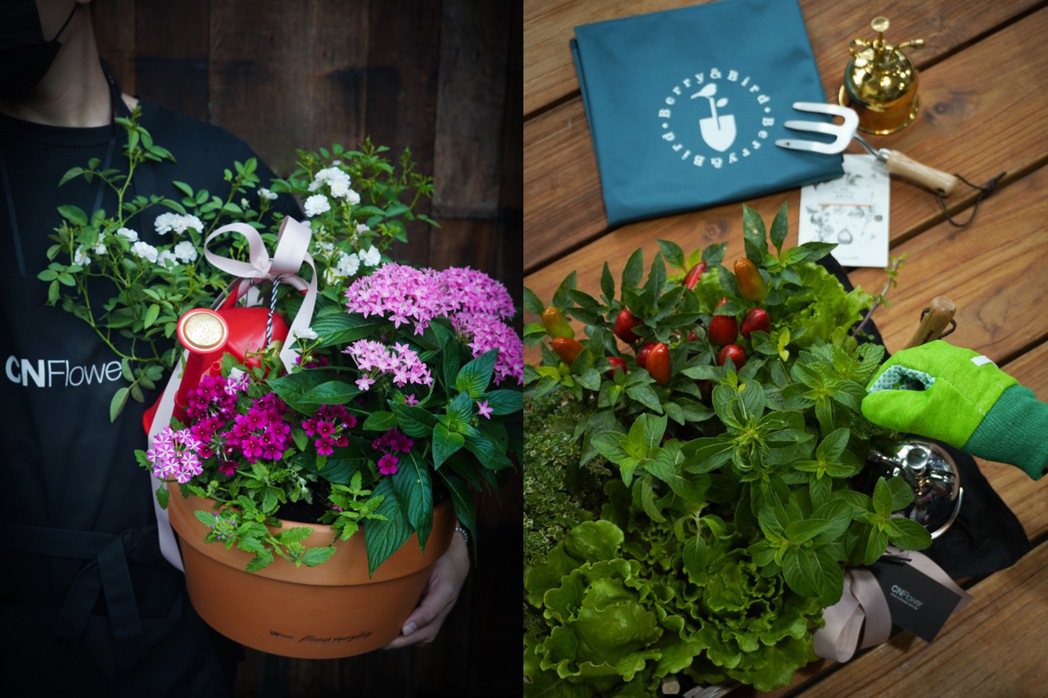 CNFlower推出「料理花園」，以可食性植物組成。圖／CNFlower西恩提供