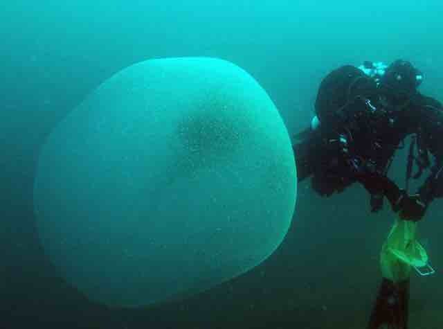 挪威海域長年有人目擊到神秘白色球體，近日專家證實該球體其實是「花枝的卵囊」，裡頭有數十萬隻幼體花枝。圖擷取自GetNavi web