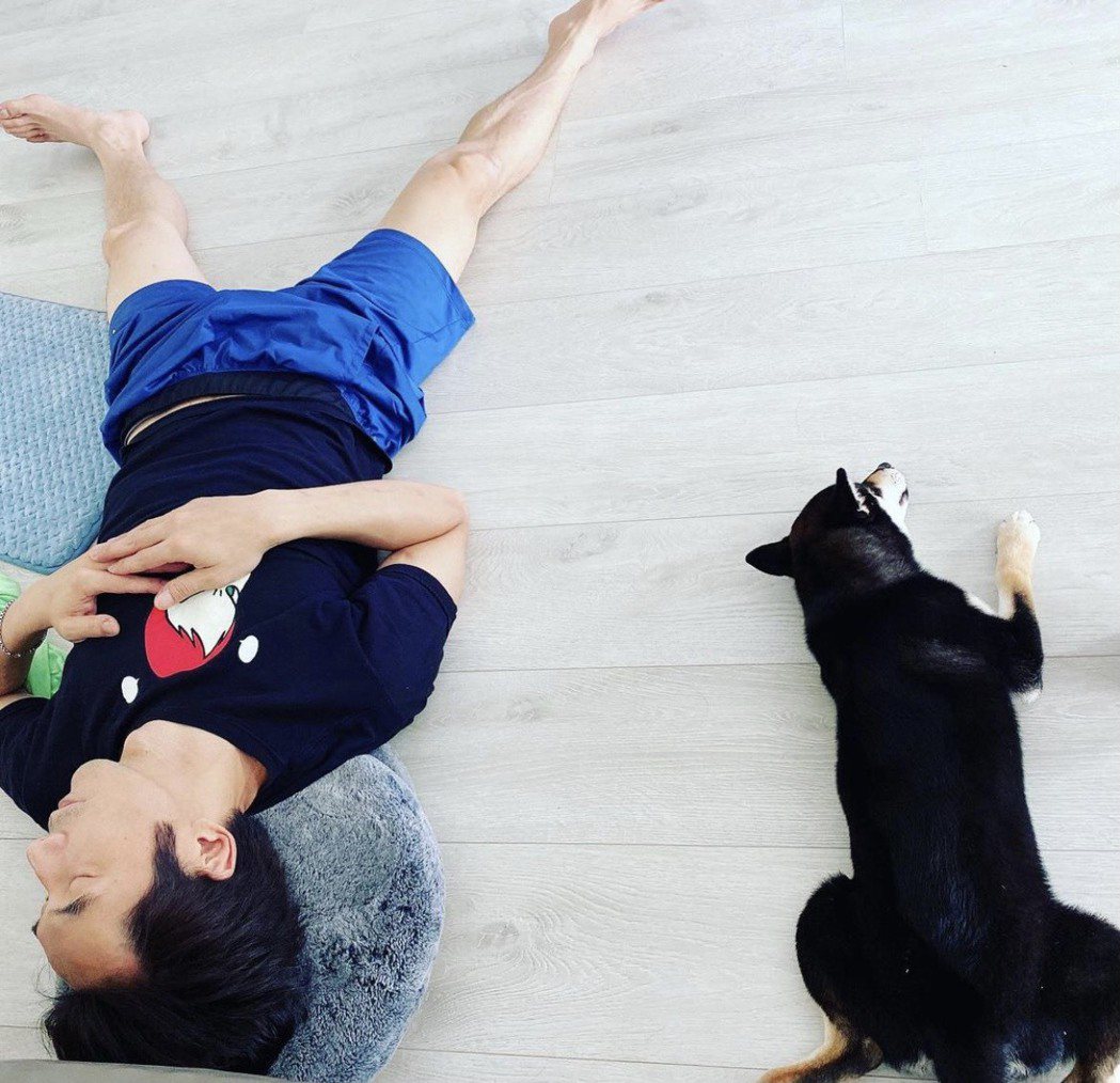 陶子的狗，和李李仁躺在客厅舒适的居家模样。图／陶子提供