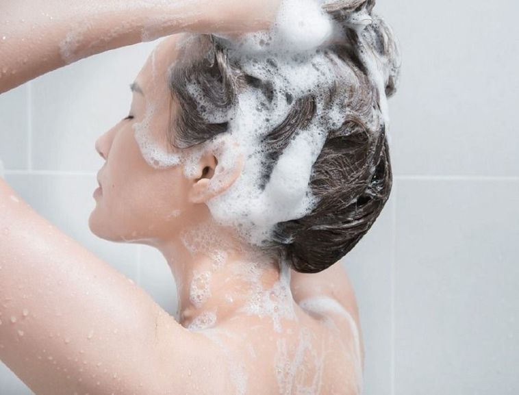 頭髮容易藏病菌，不管有無外出或居家，都要好好維持清潔。
