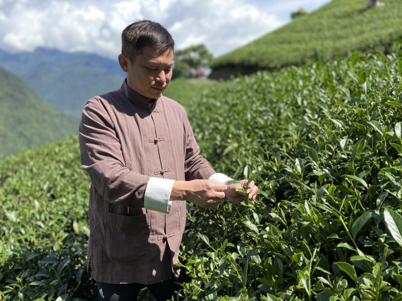  「澧瀜號」創辦人鄭旭騰表示，台灣高山茶品質可說是世界之冠，獲取獎項是對於生產好茶的肯定。蘇璽文／攝影