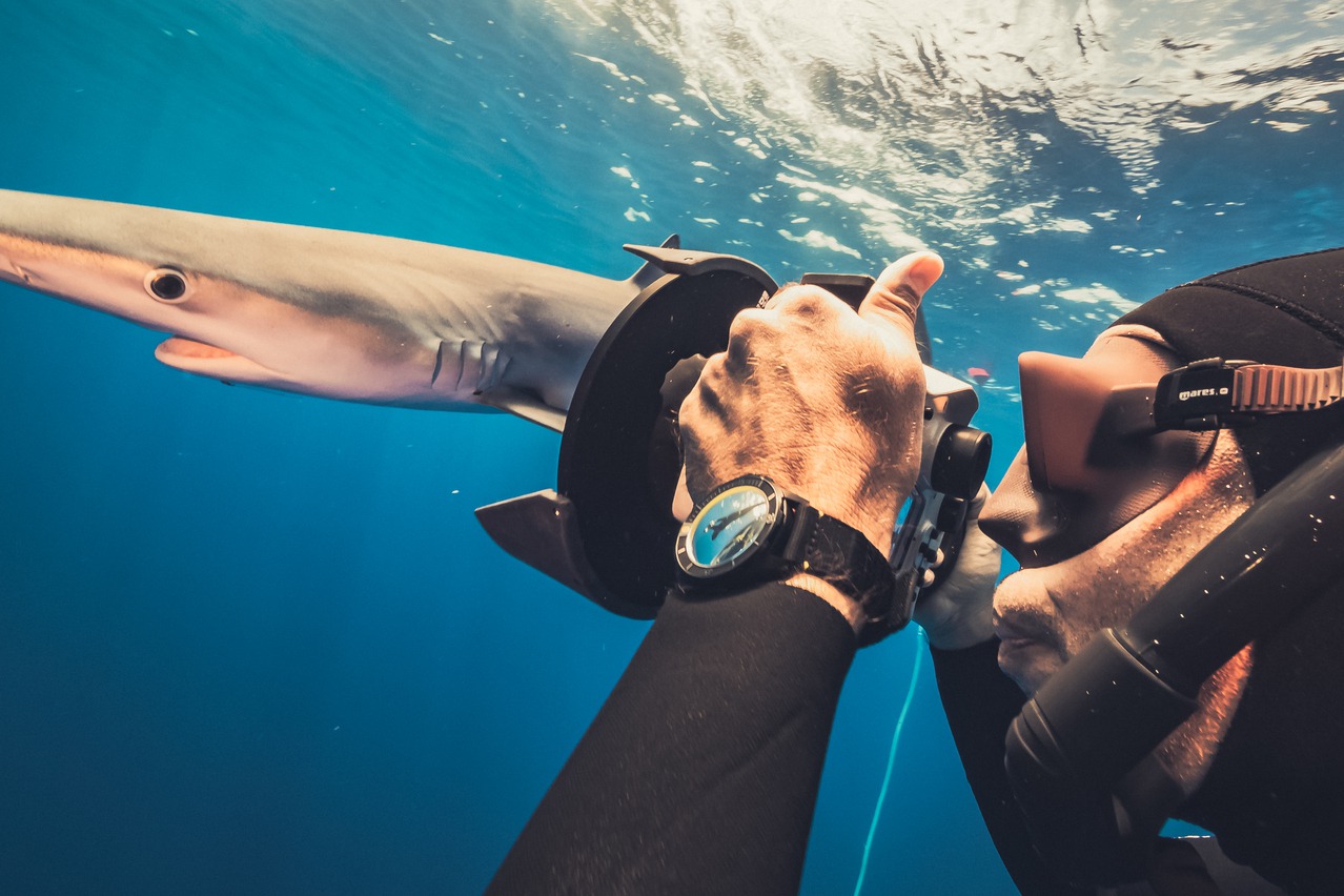 世界海洋日  雅典推「檸檬鯊潛水表」萌黃愛海洋
