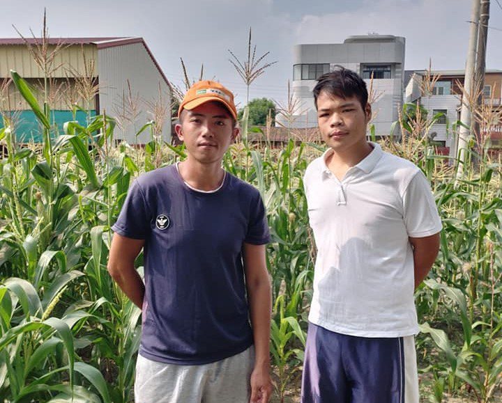 台南下營青農趙益嘉（右）和王勁涵立志當農夫，卻一再遭遇考驗。圖／取自王勁涵臉書