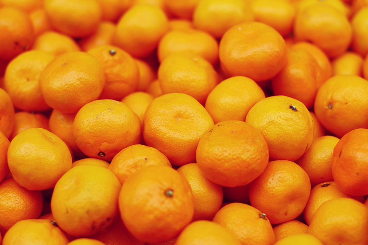 柑橘類水果 圖／ingimage
