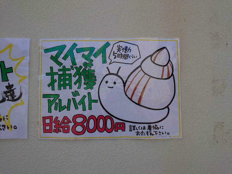 日本小笠原島開出抓蝸牛5小時就能獲得8000日幣的打工，讓許多網友躍躍欲試。圖擷取自twitter