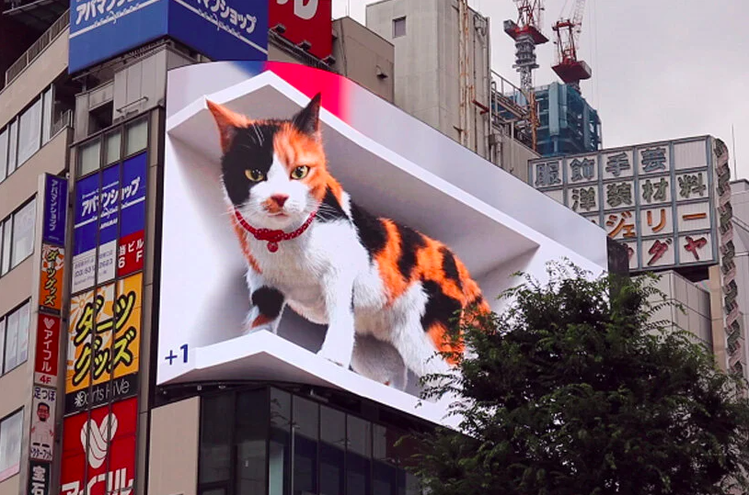 巨型貓咪現身東京街頭。圖／摘自YT