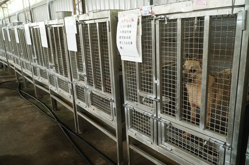 新竹縣動物保護教育園區預計明年8月完工，犬貓收容量將可從現有收容量100隻，擴增至200隻。記者陳斯穎／攝影