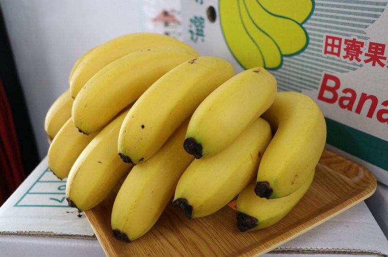 東京奧運即將在下周五展開，農委會今天宣布，台灣香蕉進軍奧運，將首度成為奧運選手村的水果，為各界各國奧運選手加油打氣。香蕉示意圖，非提供給選手村的香蕉。本報資料照片