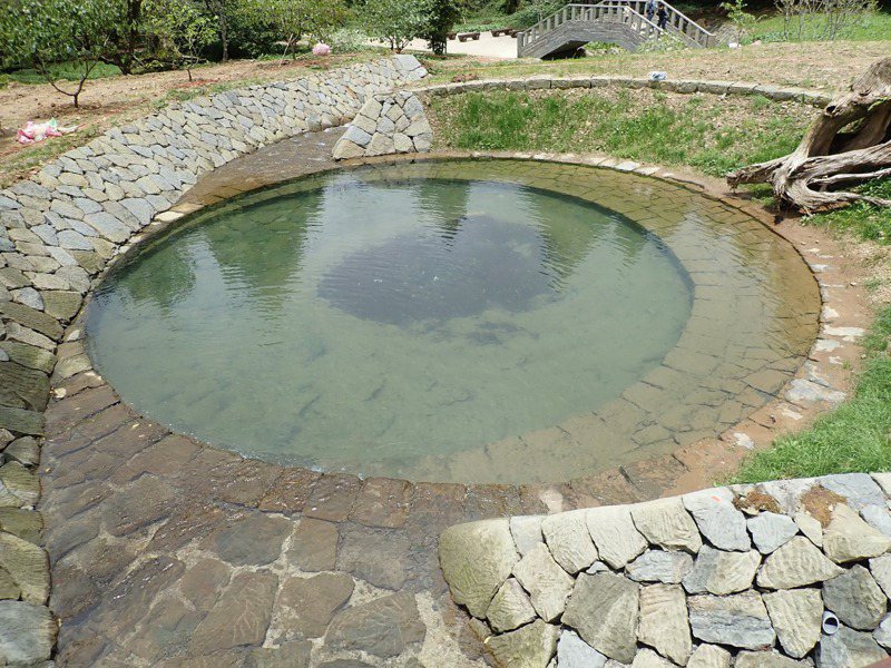 「阿里山之眼」生態靜水池。圖／嘉義林管處提供