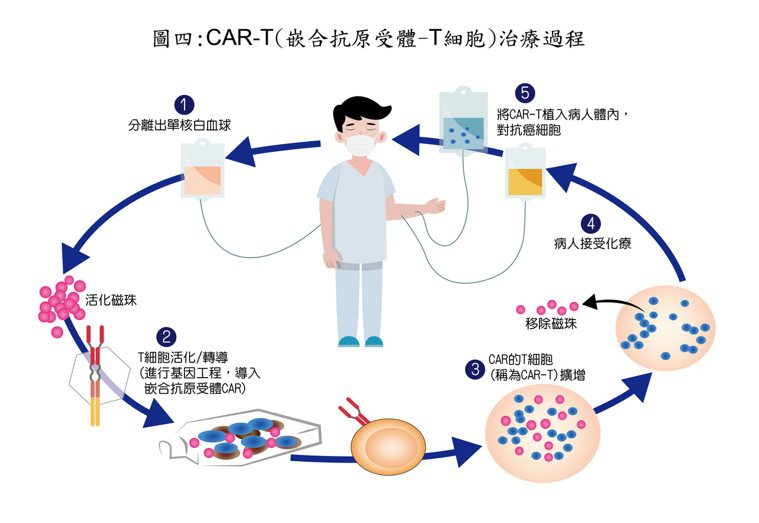 CAR-T（嵌合抗原受體-T細胞）治療過程。圖／乳癌防治基金會提供