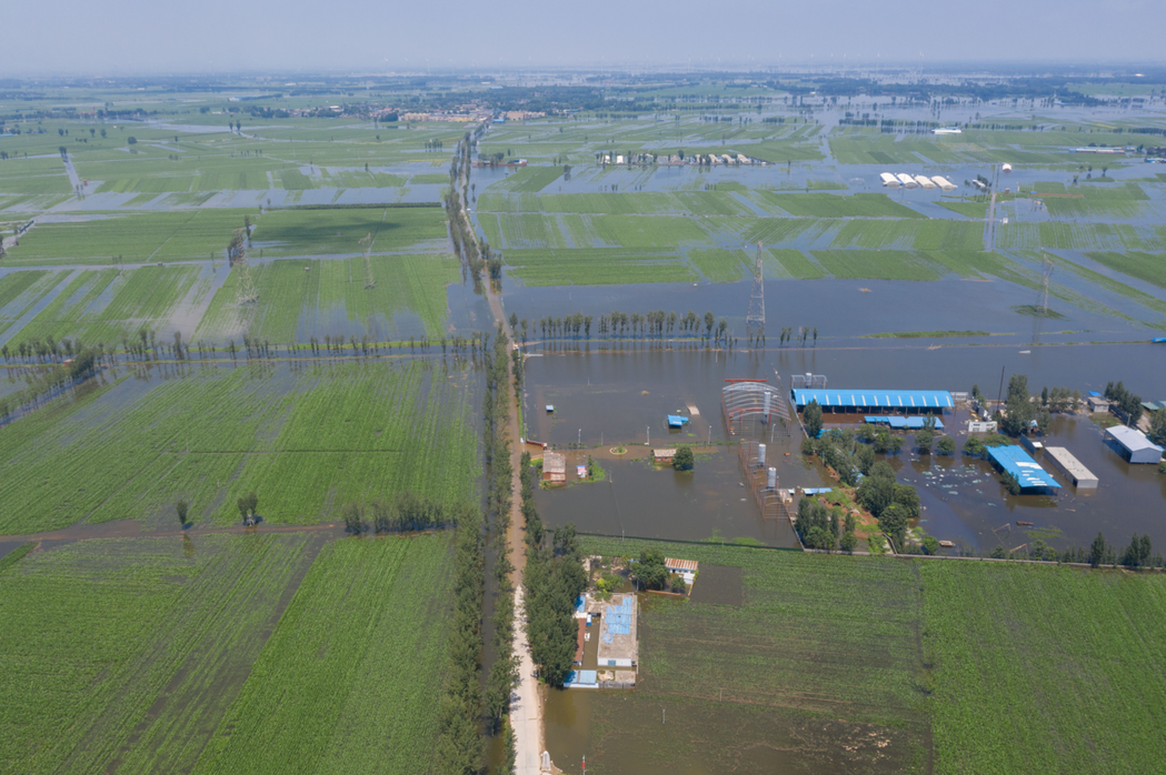 圖為河南新鄉衛輝市李源屯鎮26日空拍景象，大片農田慘遭洪水淹沒。新華社