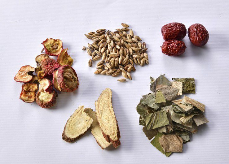 中藥材：山楂、炒麥芽、大棗、生甘草、荷葉。圖／幸福文化 提供
