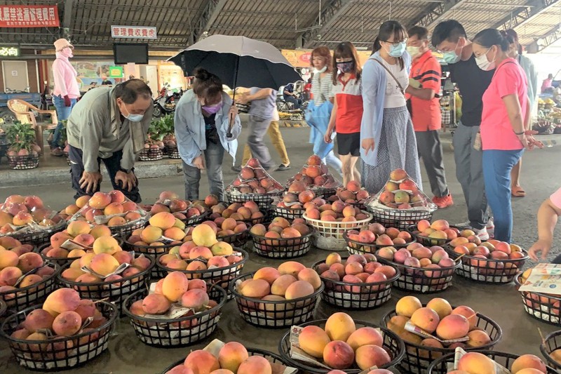 政府宣布微解封，台南玉井青果市場昨天已有不少外縣市遊客前來採買芒果，民眾說疫情趨緩，也悶太久，和家人一起出來採買芒果。圖／聯合報系資料照片