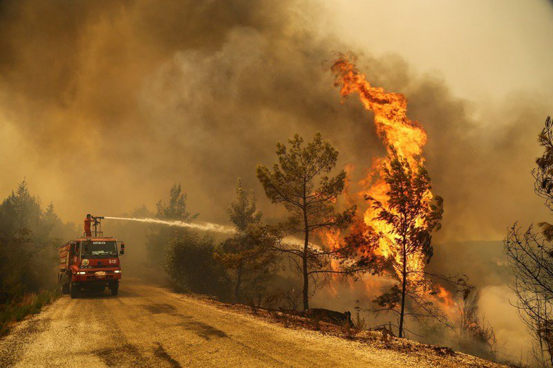 土耳其的森林大火至4日已是第8天不受控制地燃燒，長期乾旱與隨後的破紀錄熱浪更進一步助長火勢。造成至少8人喪命，數十人因燒傷與吸入濃煙而住院治療。路透
