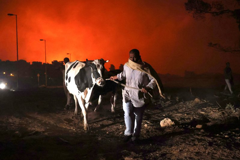 英国卫报形容野火包围雅典城，宛如「末日景象」。图为雅典北部郊区的居民7日带着牲口紧急撤离。路透(photo:UDN)