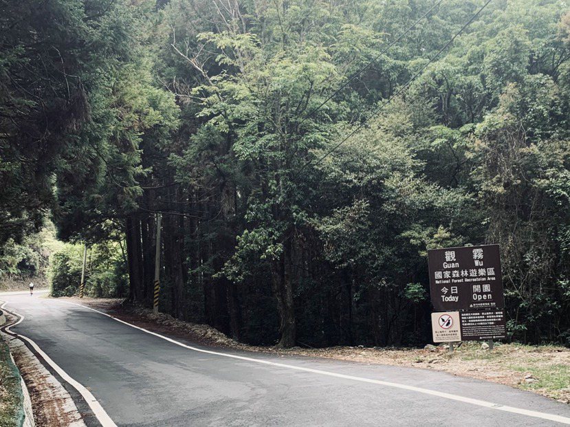 大鹿林道沿途有清楚路牌指示，告知觀霧國家森林遊樂區開園情況。 圖／巫鴻瑋 攝影