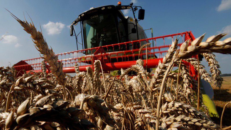 美国下修今年国内谷物生产展望，欧洲小麦与燕麦产量也将因天候而歉收，加剧粮食通膨疑虑。（路透）(photo:UDN)