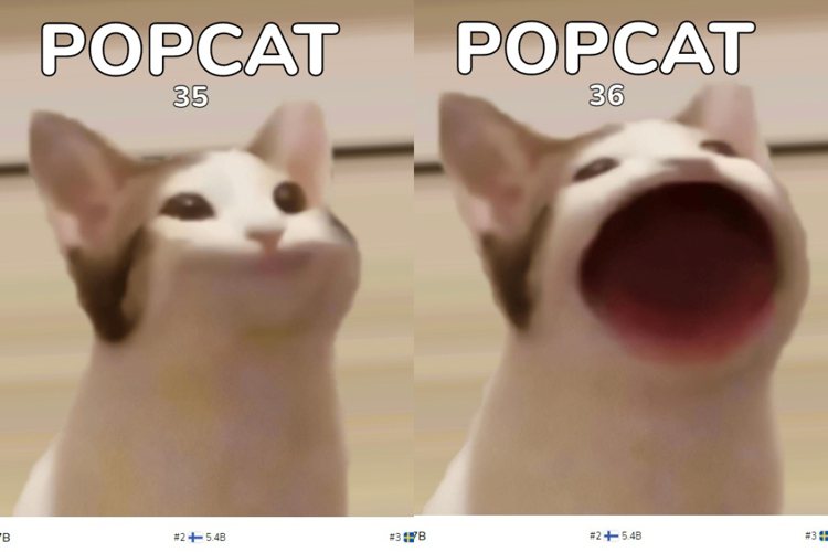 圖／擷自popcat.click