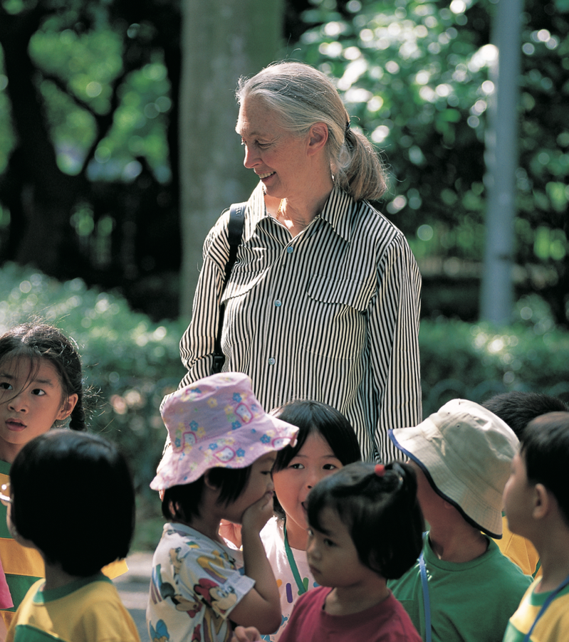 著名靈長類動物學家珍古德將在台北創辦亞洲第一所永續實驗小學。圖／珍古德協會提供