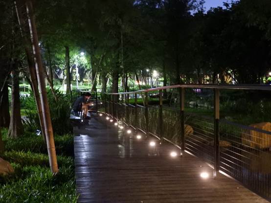 夜晚的落羽松步道別有一番風味。圖／北市公園處提供