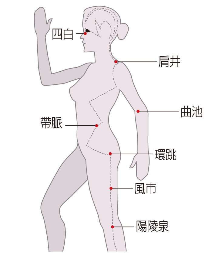 膽經經絡是身體重要的穴道，可以由上往下按壓。