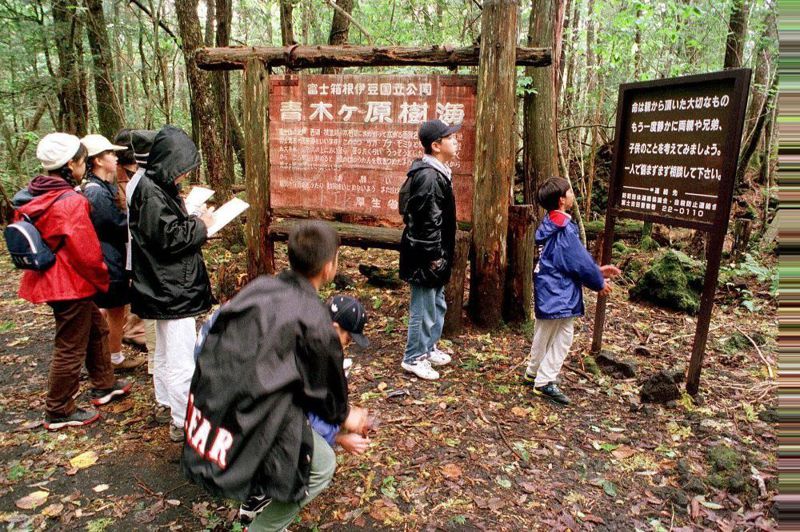 日本青木原樹海隨處可見自殺防治標語。路透