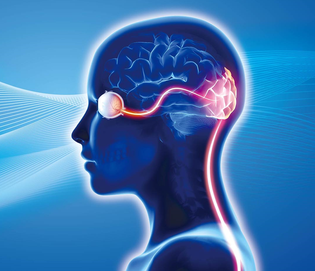 視神經脊髓炎（NMOSD）是一種發生於中樞神經系統的自體免疫疾病，免疫系統失調，導致反過來攻擊自己體內的中樞神經細胞，重創視神經、脊髓及大腦等組織。 <br />圖／聯合報提供