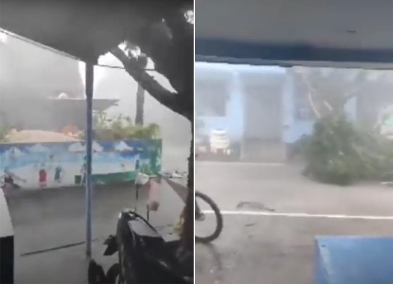 菲國北方的巴坦群島有民眾拍下了驚人影片，颱風璨樹帶來的狂風暴雨把路樹都吹倒，威力不可小覷。
 圖／Youtube