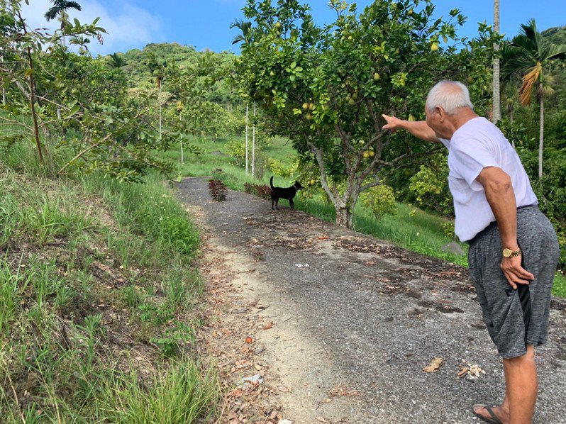 花蓮縣豐濱鄉91歲陳姓老翁在部落山坡種植柚子，所得用來補貼家計。圖／老家協會提供