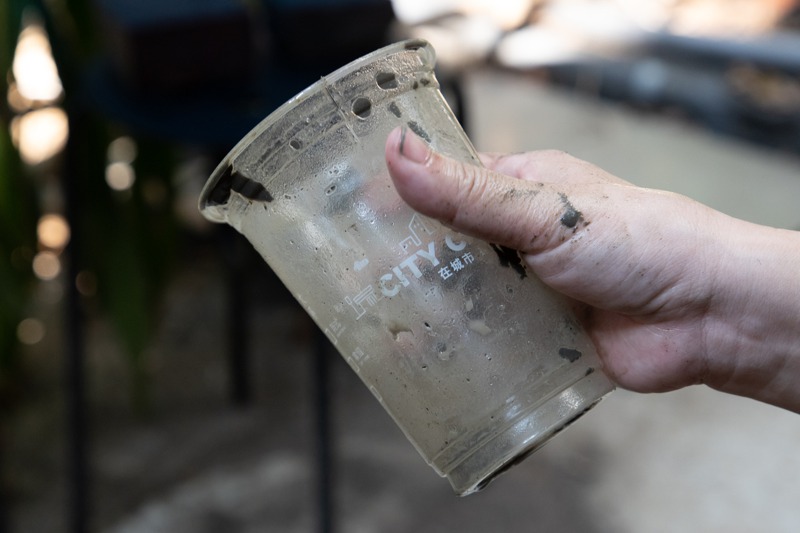 生質塑膠埯埋實驗出土，出土的飲料杯還是完好如初沒有被分解，只有一點裂痕。記者季相儒／攝影