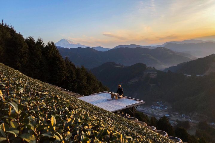 ▲可一邊眺望富士山，在茶園露台上品茶。　圖：するが企画観光局／提供