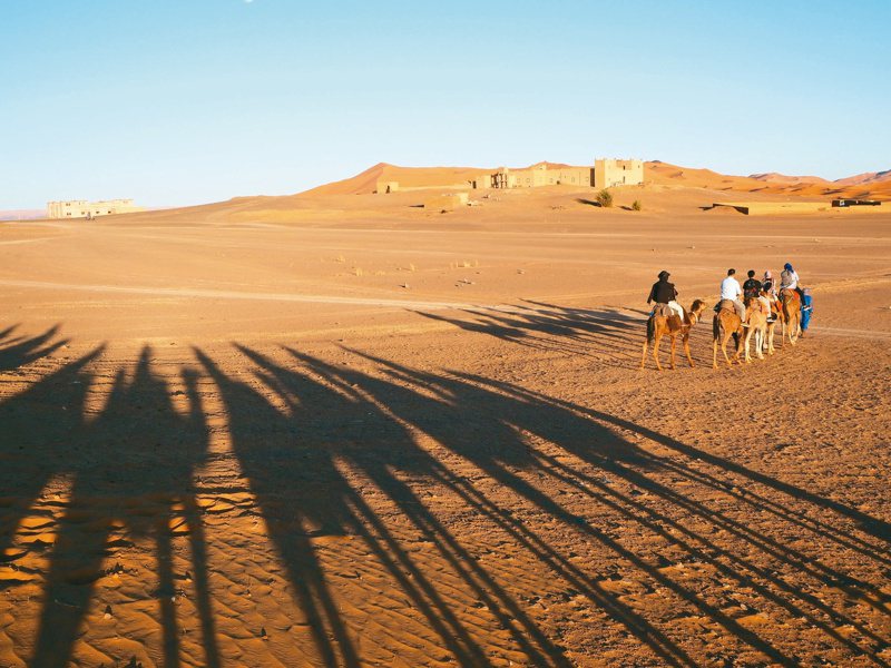 拉長的駱駝身影，映襯撒哈拉帶著紅色的細沙，畫面極美。聯合報記者羅建怡／攝影