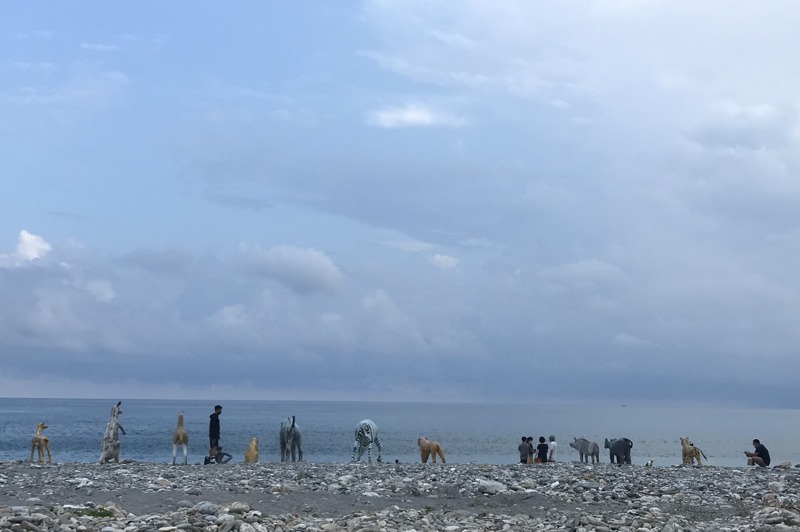 花蓮市公所辦「海是生活節」，整排水泥動物遙望大海，逗趣模樣引起在地人熱烈討論。圖／聯合報系資料照片
