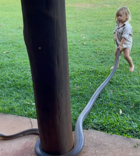 澳洲野外節目主持人2歲兒徒手擒拿3公尺巨蟒。圖／取自instagram