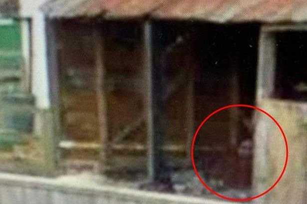 网友在莉亚失踪地点附近搜寻，发现一名女子似乎躲在谷仓内。图翻摄自Google map(photo:UDN)