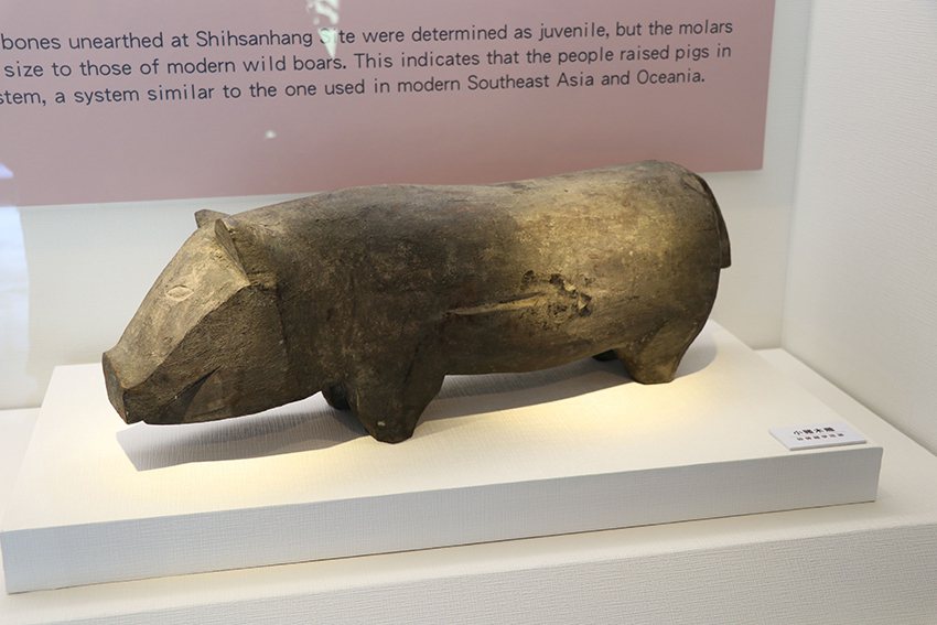 婆羅洲伊班族的小豬木雕，質樸可愛。 十三行博物館/提供
