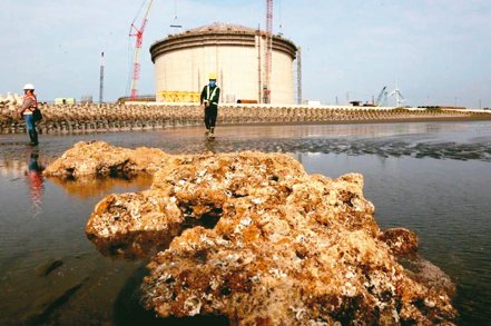 大潭藻礁與施工中的中油天然氣第三接收站。（本報系資料庫）