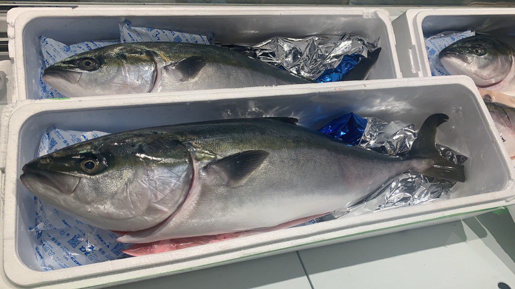 日本大分縣鰤魚雙十節空運來台快閃完售。微風超市/提供