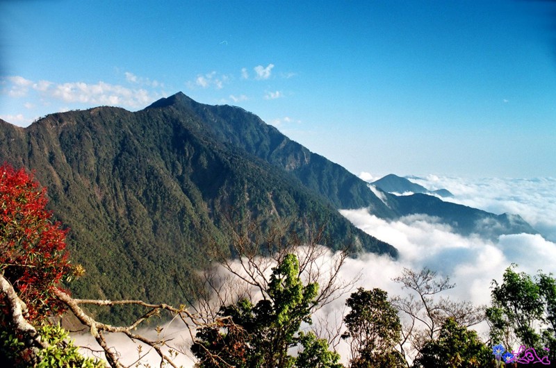 北大武山海拔3092公尺是南台灣唯一超過海拔超過3000公尺以上高山，雲海繚繞。圖／山友提供