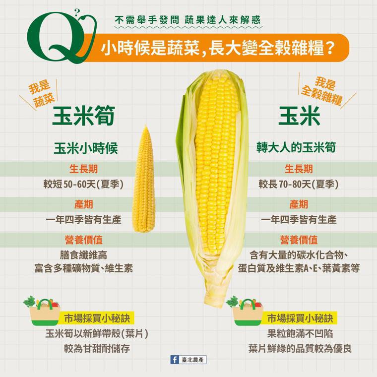 玉米跟玉米筍比較圖／取自「臺北農產」
