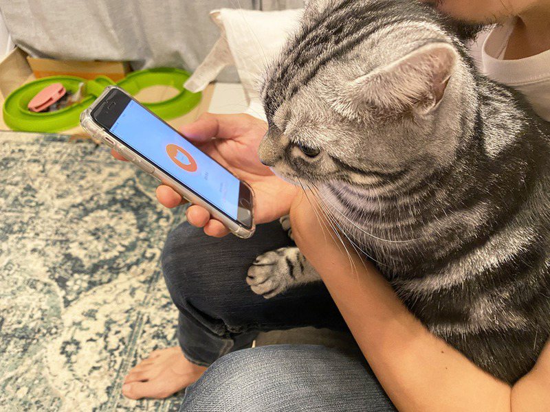 貓語app現在在日本很紅。圖取自wepress
