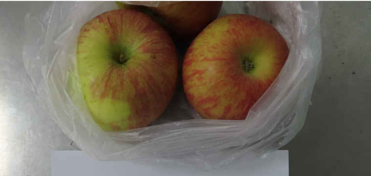 智利蘋果120公噸全遭退。圖／食藥署提供