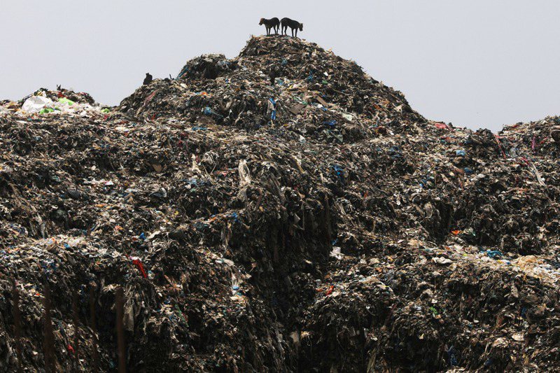 印度大城孟買郊區迪納爾有座18層樓高、矗立百年的垃圾山，是全國最高、歷史最悠久的垃圾山。路透