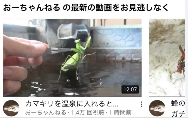 日本百萬youtuber拍攝一隻讓螳螂泡溫泉的影片，引發許多網友的抨擊，如今該影片已下架。圖擷取自youtube