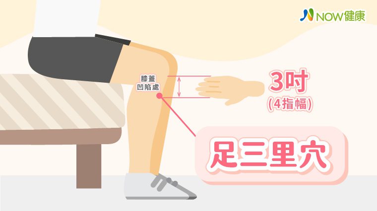 ▲足三里穴位於膝關節外側往下4指幅（3吋）寬凹陷處。（圖／NOW健康製作）