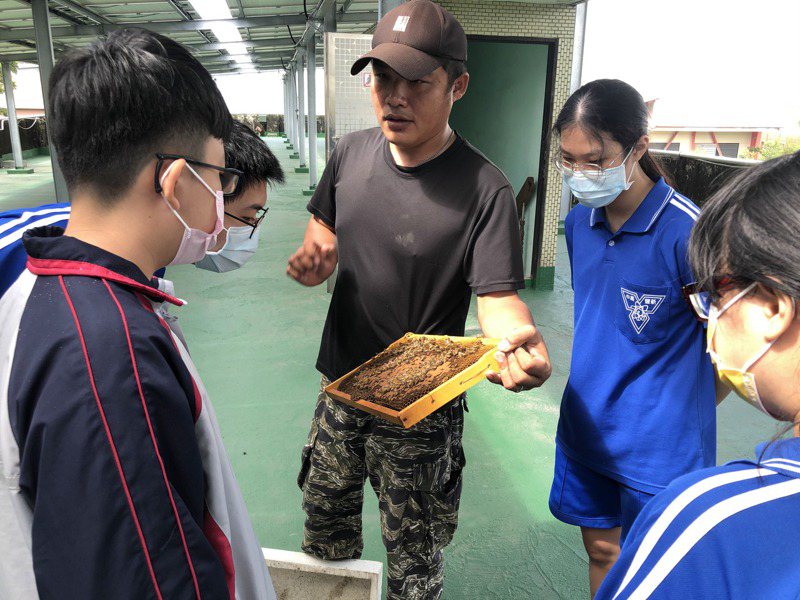 新豐高中頂樓設置養蜂場，學生學養蜂體驗自然有機農業。記者周宗禎／攝影
