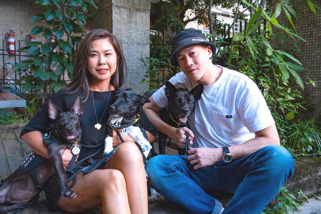 何潤東(右)愛狗和小學同學瑪莉將流浪犬置入劇中。圖／LiTV、HBO GO 提供　