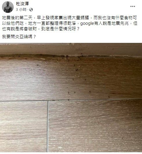 杜汶澤透露地震後家中出現大量螞蟻。 圖／擷自facebook。