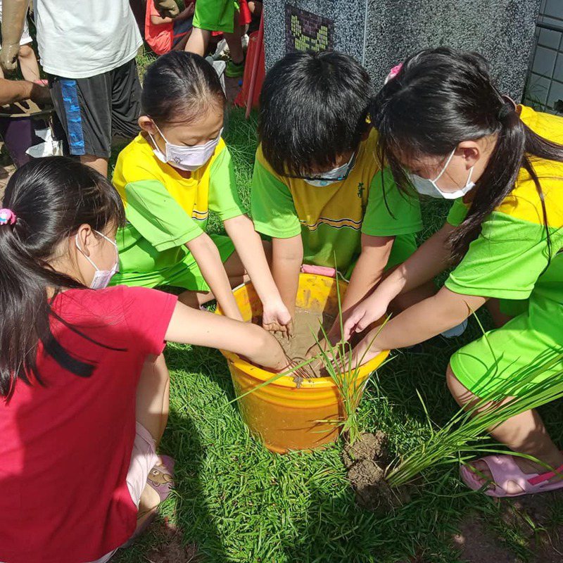 後壁區新東國小從在地出發，以社區資源發展學校特色，打造順天適地應人的稻米課程。圖／擷取新東國小臉書畫面