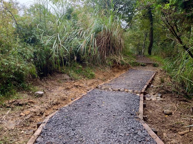 羅東林管處今年整修台灣山毛櫸步道，改善部分泥濘路段。 圖／林佳彣 攝影